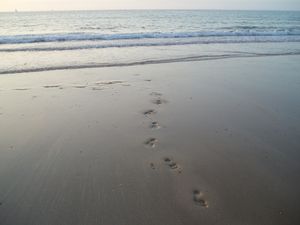 traces-sur-la-plage-Cancale-mai-2006.jpg