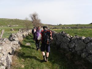 P5170186