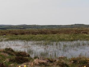 P5170262