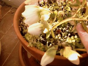 Photo0308