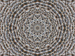 mandala 11