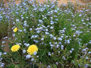 DSCF7585.JPG