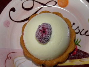 Fleur-des-neiges--2-.JPG