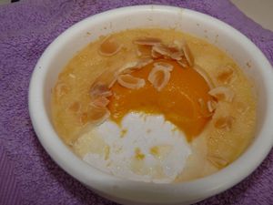 gratin-peche-amande--1-.JPG