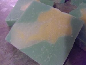 shampoing-sec-chv-grac-a-l-ortie--2-.JPG