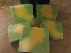 shampoing-sec-chv-grac-a-l-ortie--4-.JPG