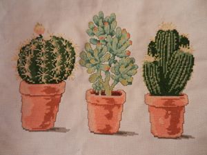 DSCN1101