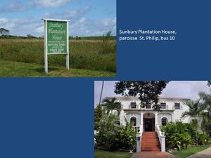 Barbade Paroisse Saint Philip Sunbury Plantation 1