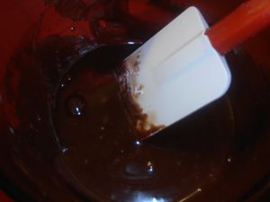 011-copie-2.JPG