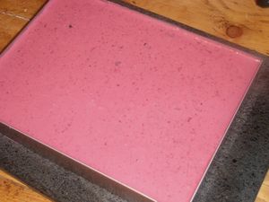 050-copie-1.JPG