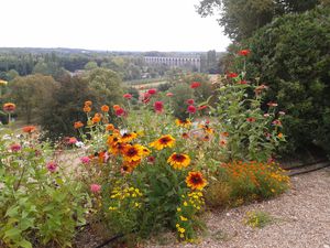 Fleurs paysage