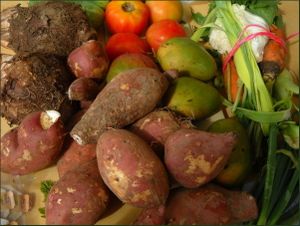 vegecarib280