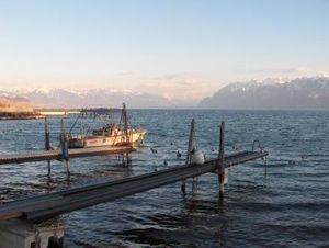 Port d'Ouchy