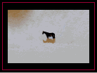 viewer3.png