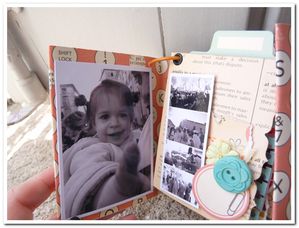 mini-album-poulain-04--2-.JPG