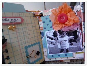mini-album-poulain-06--4-.JPG