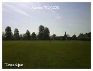 TPC2010050--Medium-.JPG