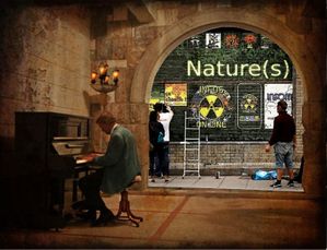 Natures-pianiste-ok.jpg