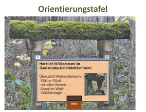 Bild12