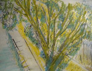 arbre-du-halagewww