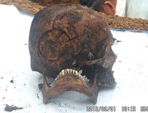 chang_chun_an_skull_crane.jpg