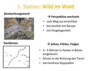 Bild13