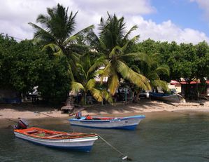 025--MARTINIQUE-ANSES-2005N3180.jpg