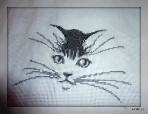 Chat par Armelle