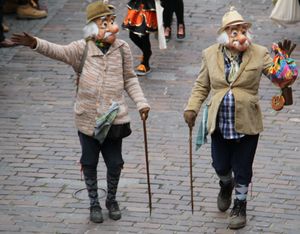 RosenmontagszugVH 17 Narrenfreunde Zellerau 1