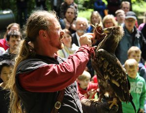 FruehlingsfestGreifvogelschau 02 Steppenadler 06 Mundschutz
