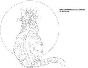 Chat au Clair de lune