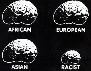 racisme-cerveau