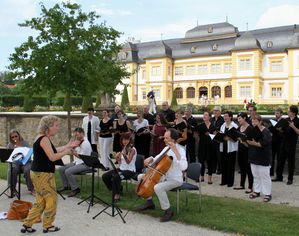 Streicher Chor 01a