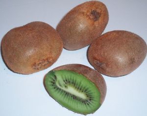 kiwi des Landes