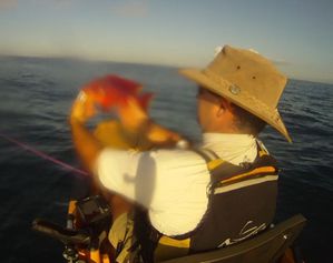rouge 19 07 1.5kg