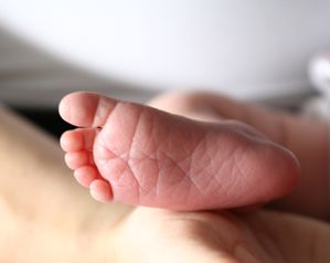 aout2009_125.jpg