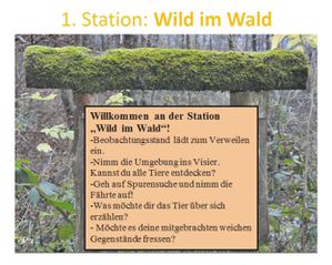 Bild15