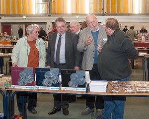collectionneur2012-2.jpg
