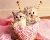 chat-knit.jpg
