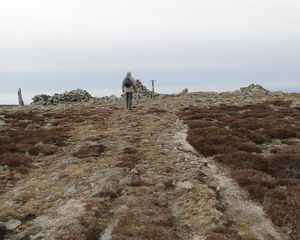 36 Mont Lozère sommet et clapas
