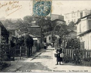 maquis-1904.jpg