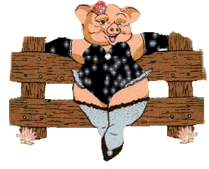 IMAGE0-133.GIF