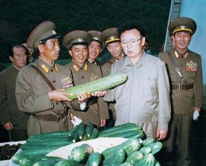 Concombres.jpg