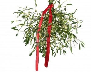 8273894-bouquet-de-gui-avec-ruban-rouge-sur-fond-blanc.jpg