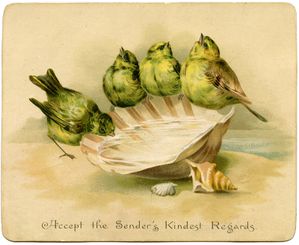 Birds-Seashellvintage-GraphicsFairy.jpg