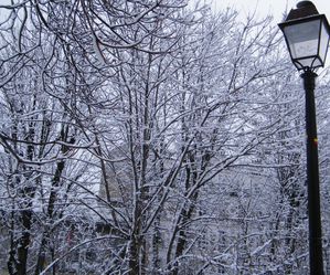 neige2-062.JPG