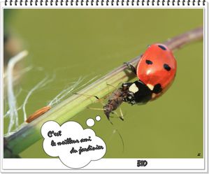 Bio