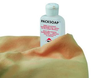 pacser4_1.jpg