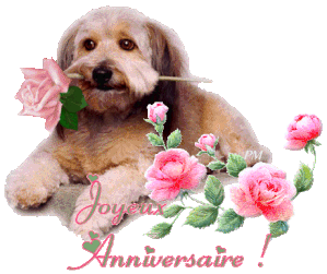 71216312bon-anniversaire-chien-gif.gif