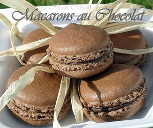 macarons-au-chocolat-2-copie-1.jpg